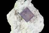 Purple Fluorite Cube On White Bladed Barite - Morocco #78850-1